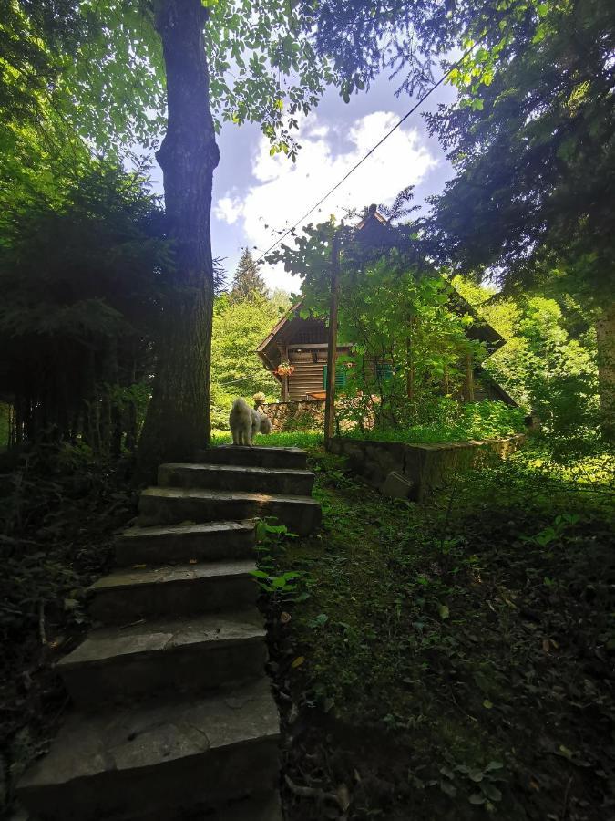 Vila Fani, Kostel - Vacation House Pr' Vili Fani Екстер'єр фото